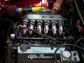 82 AlfaGTV6 start up