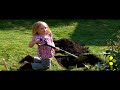 Channelbee.com\ Channelbee.com\