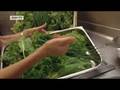 German cooking for beginners | Green Sauce à la Wagner