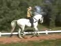 cavalos de raça