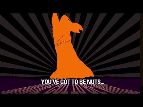 The Squirrels - Dance Monkey Montage!
