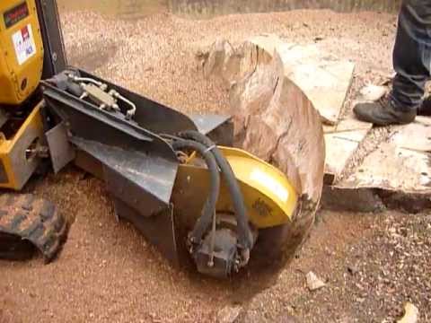 Stump Grinding