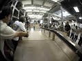 rob dyrdek skateboarding