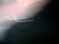videos de us at belle vue