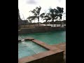 Blustery Christmas