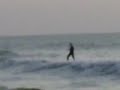 Vinea - Make a wave van 17/08 tot 26/08