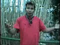 animales exoticos
