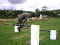 Demonstração de uma pista de Pentatlo Militar realizada em 3 min e 20 s