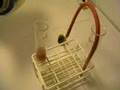 Elementary Productions: Flash freezing Nitrogen Dioxide