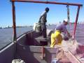 Colocando una red de fondeo de camarones en la \"Siempre Constante\" Colocando una red de fondeo de camarones en la \"Siempre Constante\"