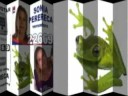 Sonia Perereca Sonia Perereca