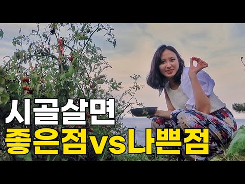 [버드모이]EP.2 귀촌생활 쉽지않네 [시골 한달살기]