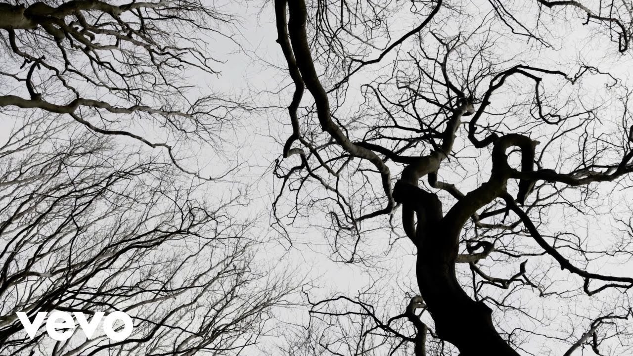 Roman Nagel - In Memory