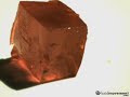 Jello dropped @ 1000 fps