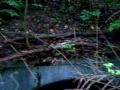 RAW SEWAGE- Irondequoit Bay- No Warning by Supervisor Heyman! AMENT REDDER McKEE