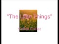 the little things colbie caillat