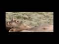 Gregor Samsa - Young And Old - Polskie napisy