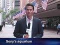 World Tech Update, August 14, 2008