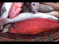 2006.03.18.Chapter.32.Fishermans Market