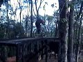 A furia da bike de mola