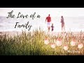 Why Cant Family Be Family Again Poem