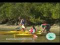 Amazing Adventures in Southwest Florida part 3 Amazing Adventures in Southwest Florida part 3