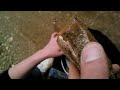Click here to watch this video Caster Rock Hunt Ammonites part 1