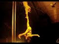 Diminuto Circus