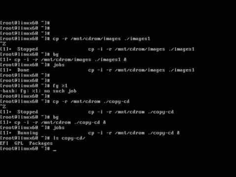 how to background a process in linux
