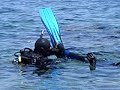 SCUBA DIVING PAUET SCUBA DIVING PAUET