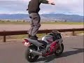 # Motocross vs Big Foot Trucks # # Motocross vs Big Foot Trucks #