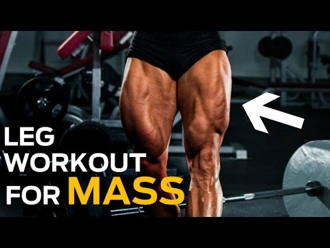 how to define leg muscles