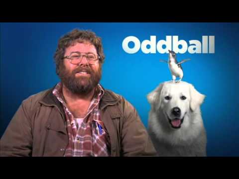 Oddball | Shane Jacobson Interview