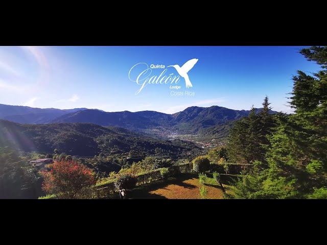 Quinta GALEON Lodge / Hummingbird-Birding Photography Paradise-Hotel