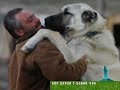 KANGAL KÖPEKLERİ HER YERDE 1 HABER VAR PROGRAMINDAN GÖRÜNTÜLER