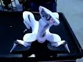 CES 2007 Wowee Roboquad CES 2007 Wowee Roboquad