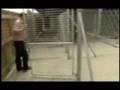 Mount-Cashel-Kennels