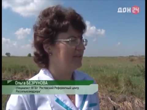 О выявлении неиспользованных земель сельскохозяйственного назначения