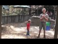 At the Australian Reptile Park