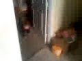 At home 1