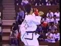 Taekwondo-ITF-Highli