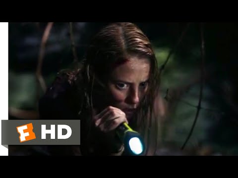 Crawl (2019) - The Gator Nest Scene (5/10) | Movieclips