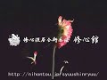 TAMESHIGIRI?Flower 1?