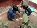 miguel y joaquin hacen de jardineros