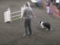 videos de Topic 11/30/08 Novice JWW