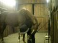videos de Twister and I's relationship