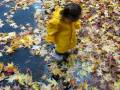 videos de Xia Splashes in Puddles