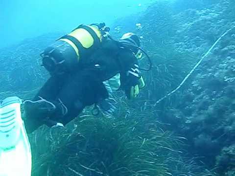 Ibiza Diving