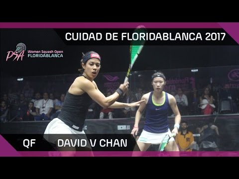 Squash: David v Chan - Ciudad de Floridablanca 2017 - QF Highlights