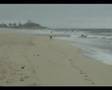 Vento no Litoral